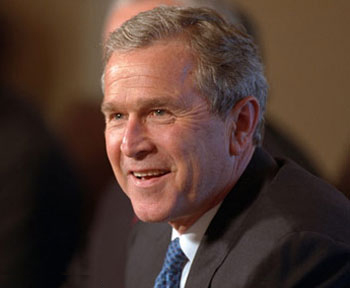 Bush-11.jpg